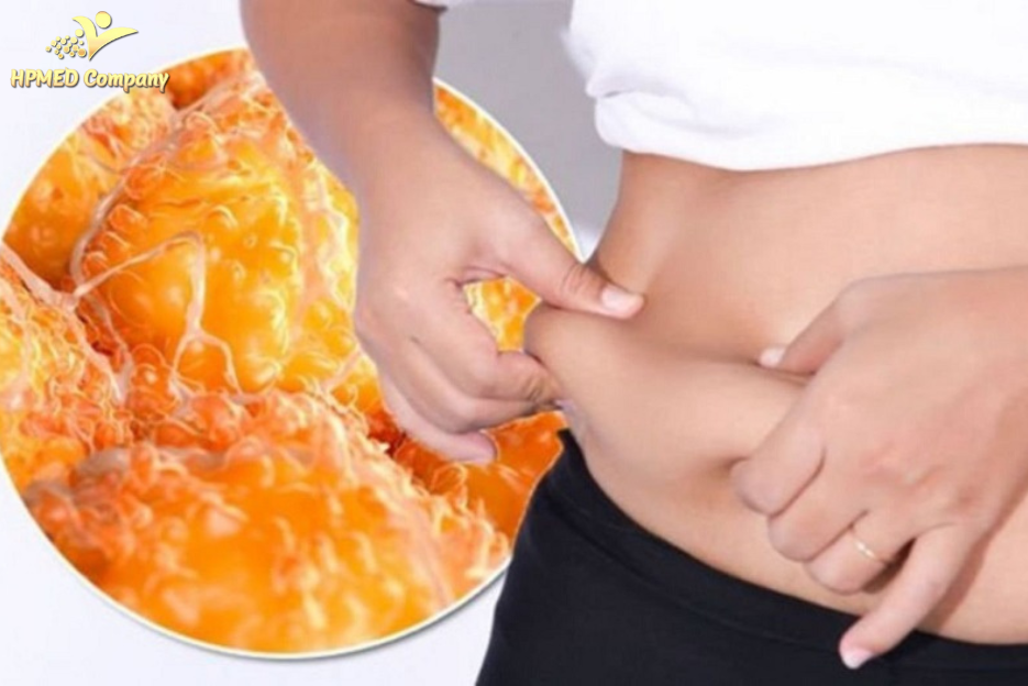 Cách đào thải mỡ nội tạng nào tốt 2 Mỡ nội tạng là gì và tại sao nguy hiểm?