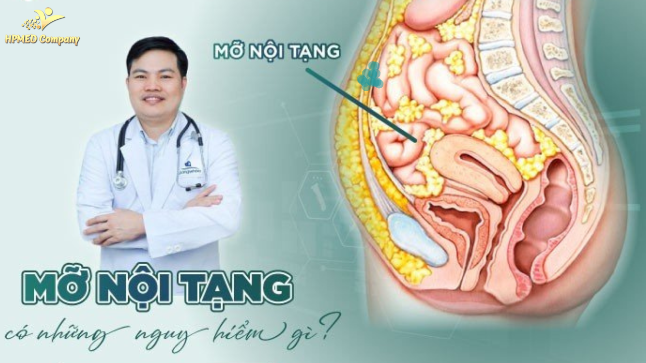 Mỡ nội tạng là gì?