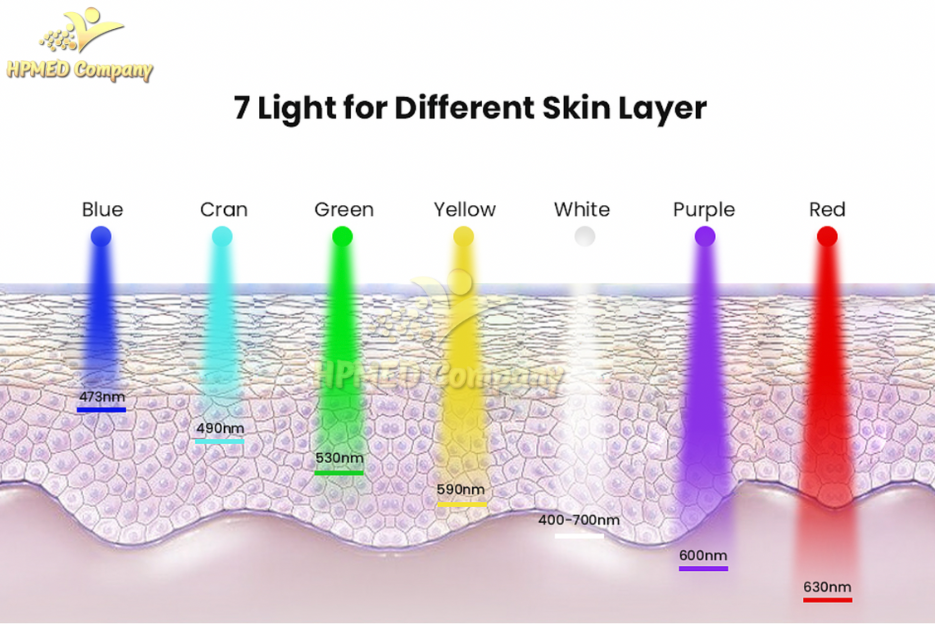 Tác Dụng Máy Ánh Sáng Sinh Học