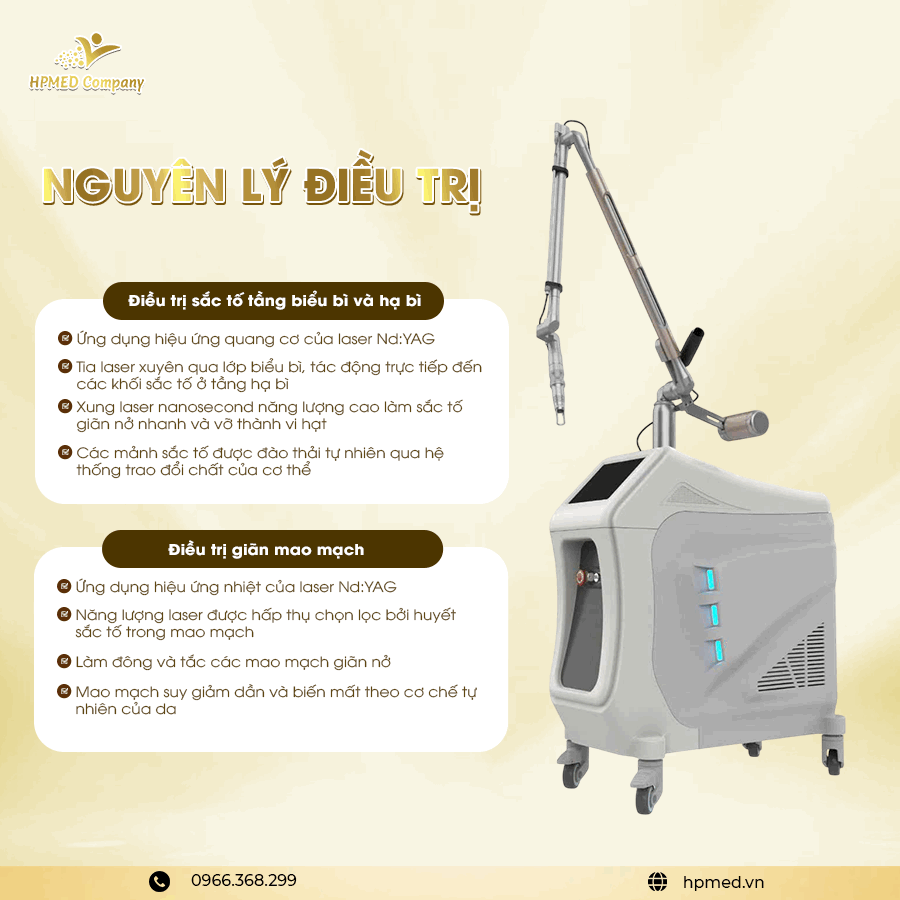 Máy Laser Picotech Pro New 2026