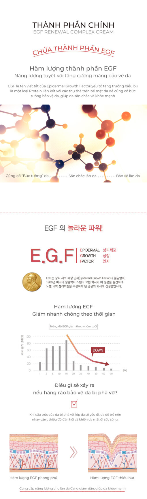 Kem dưỡng tái tạo tế bào gốc EGF Renewal Complex Cream (50ml-200ml) - 04