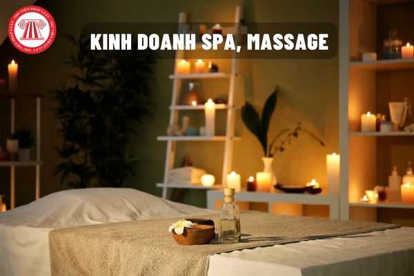 cac mo hinh kinh doanh spa da dang va phong phu 66124bb0425b9