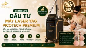 Sơ đồ chiến lược đầu tư máy laser yag picotech premium tối ưu dòng tiền tại HPMED