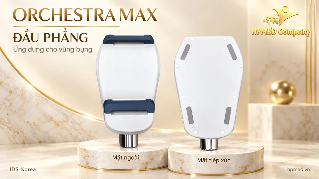 Mặt ngoài và mặt tiếp xúc của đầu phẳng ORCHESTRA MAX IDS dùng cho vùng bụng